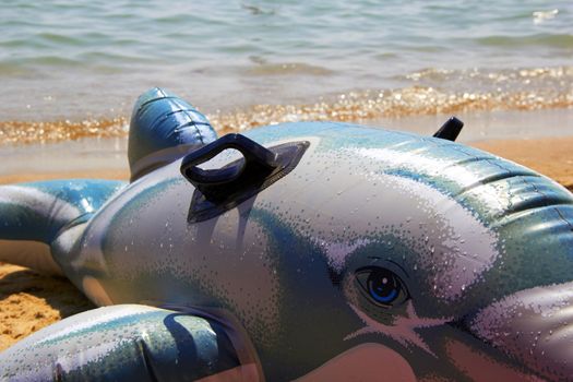 inflatable toy dolphin on beach of sea
