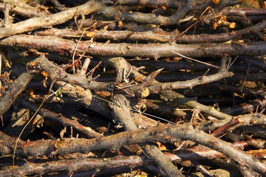 big messy pile of dry wood