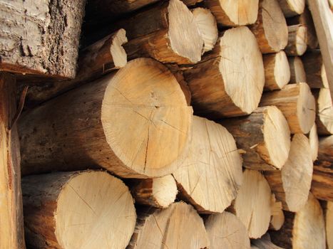 big stack of many old wood
