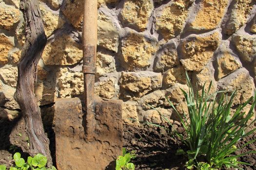 landscape - in the garden near the wall shovel and plants