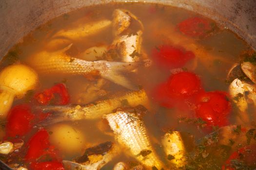 hot fish soup in the cauldron