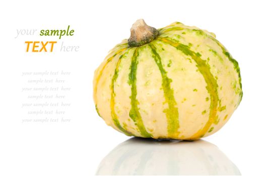 mini pumpkin isolated on white background