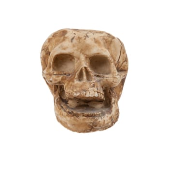 Single old skull isolated on white background