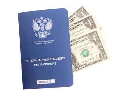 Pet passport on dollar bills, isolated