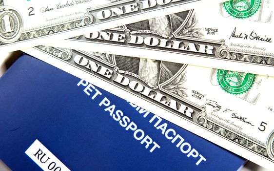 pet passport on dollar bills, isolated