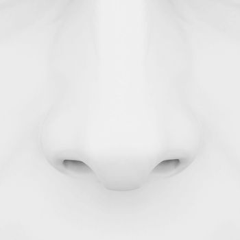 nose on a gray background 3D