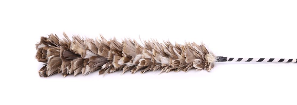 broom to sweep dust feather on white background