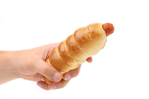 Hand holds hot dog baked. White background.