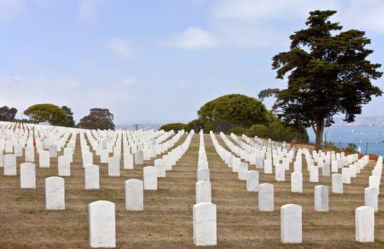 Row of Marble tombstones in a cemetery in Point Loma california.