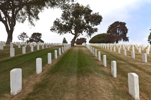 Row of Marble tombstones in a cemetery in Point Loma california.