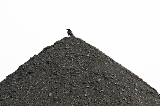 stock of raw coals