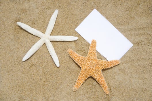 Two starfishes and piece of paper on sandy beach