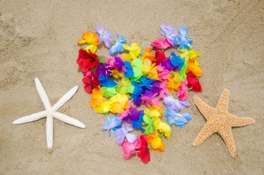 Heart shape of the Hawaiian flowers and two starfishes on the beach