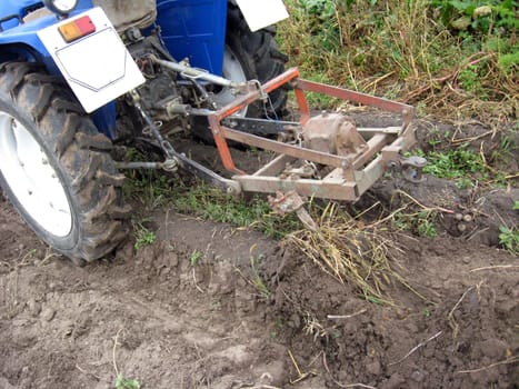 image of process of harvesting of a potato by tractor