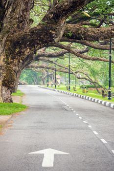 Street in Lake garden at Taiping Perak Malaysia