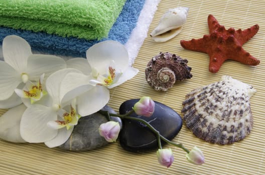 Spa concept with zen stones and orchid