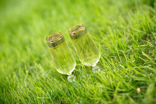 glasses of champagne on the grass