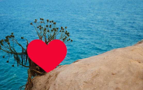 Heart shape on the top of the hill next the Pacific ocean in Malibu