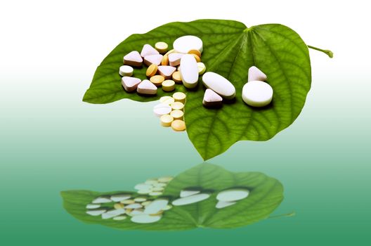 tablets and pills on green leaf