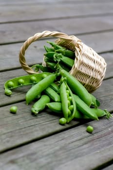 Fresh peas on a background of old boards