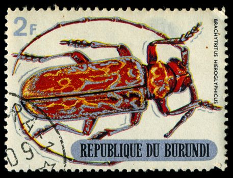 REPUBLIC OF BURUNDI - CIRCA 1970:printed in Republic of Burundi shows  shows beetle, circa 1970.