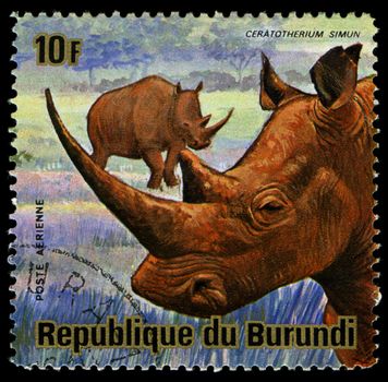 BURUNDI - CIRCA 1964: A stamp printed in Burundi shows a wild animal, circa 1964.