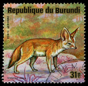 BURUNDI - CIRCA 1964: A stamp printed in Burundi shows a wild animal, circa 1964.