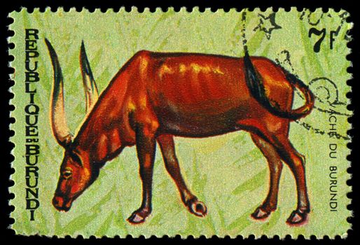 REPUBLIC OF BURUNDI - CIRCA 1970:  printed in Republic of Burundi shows  animals, series, circa 1970