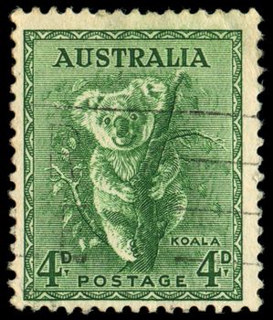 AUSTRALIA - CIRCA 1937: stamp printed by Australia, shows koala, circa 1937