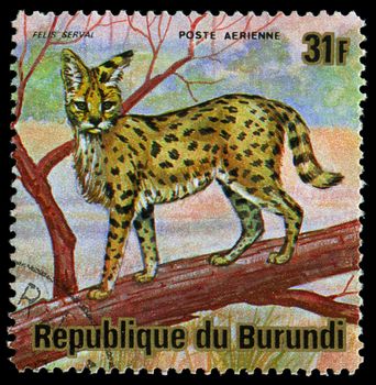 BURUNDI - CIRCA 1964: A stamp printed in Burundi shows a wild animal, circa 1964.