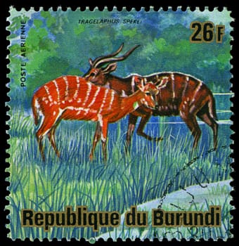 BURUNDI - CIRCA 1975: A stamp printed in Burundi, shows Sitatunga (Tragelaphus spekii), circa 1975