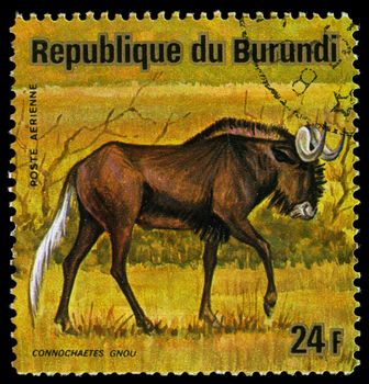 REPUBLIC OF BURUNDI - CIRCA 1975: A stamp printed in Republic of Burundi shows white-tailed gnu, series, circa 1975