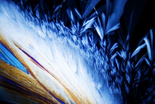 Micro Crystals in polarized Light