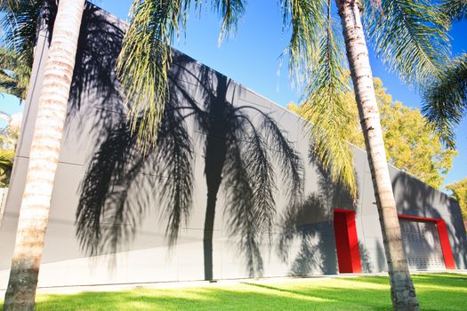 Shadow of palm fronds from a tall pam tree cast onto an exterior wall of a modern building surrounded by a neat lush lawn