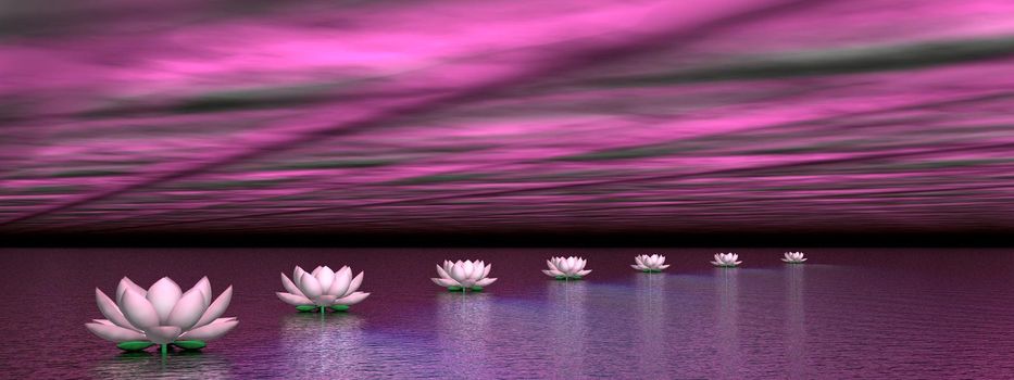 Beautiful pink water lilies creating a path to the sun by violet polar lights