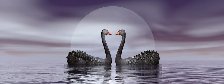 Two black swans in front of moon on the water by beautiful night