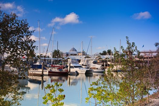 View between foliage of luxury pleasure yachts and catamarans moored in a sheltered marina