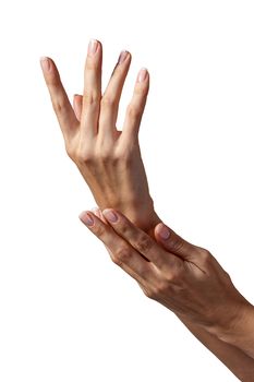 Beautiful female hands isolated on white background