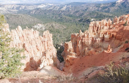 Bryce Canyon National Park consists of a series of horseshoe-shaped amphitheaters carved from the eastern edge of the Paunsaugunt Plateau. This particular location is Black Birch Canyon.