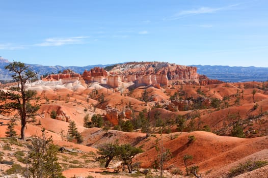 This image was taken while hiking in the Queen's Garden area at Bryce Canyon National Park. According to the park literature at least 60 tints of the basic colors red, yellow, and white, have been recognized.