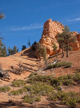 One red rock formation after another can be found at Red Canyon, Utah. Here you can see the trees and brush reaching upward to touch the eroding rock.