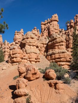 Red Canyon, Utah provide likenesses of every description. I just couldn't get away from the idea that these look like petrified mushrooms! 