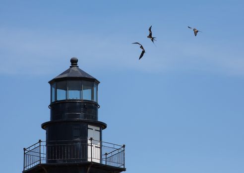 Three Magnificent Frigatebirds are frolicking in the wind above the old lighthouse at Fort Jefferson located in the Dry Tortugas.