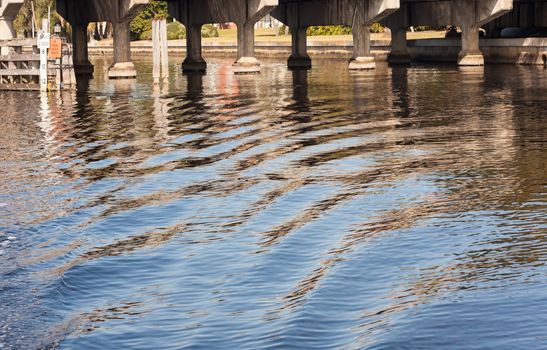 This image was taken while riding in a boat on the Hillsborough River in Tampa, Florida. Because of the bright clear day the surface of the water rippled and manipulated any reflections present.