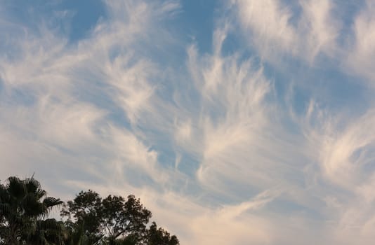 This is an image of cirrus clouds moving over Tampa, Florida. Cirrus clouds are wispy, feathery strands of ice crystals. These clouds are also known as mare's tails.