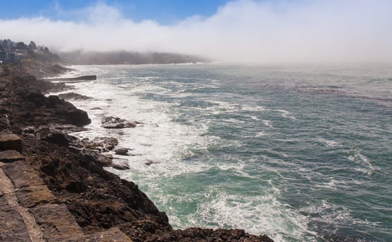 Depoe Bay, Oregon is the home of the famous spouting horns. Here the fog is coming in although we were occasionally able to catch the spouts of the migratory  Gray whales.