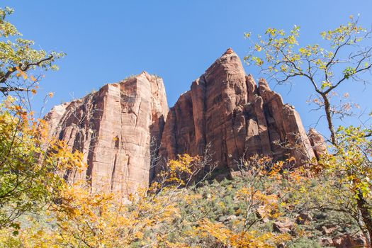 Sheer-sided monolithic mountains greet you as you explore the Zion Canyon Floor. This was taken in the Fall at Zion National Park.