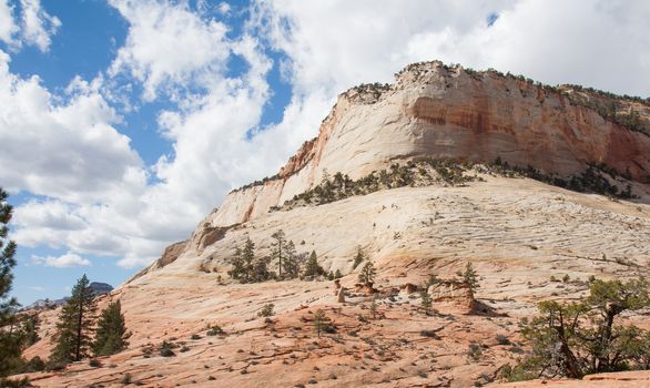 This was taken during the Fall in the upper plateau area of Zion National Park. It depicts the intricate patterns etched in the sandstone by wind and rain over eons of time.