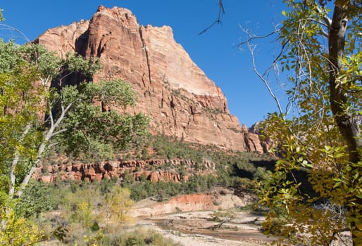 This image was taken in the Fall at Zion National Park, Utah.