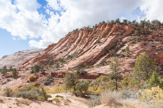 The side of this bluff in Zion National Park looks like ruffles on fabric.